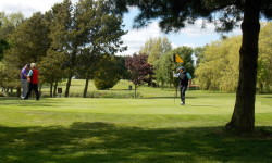The 9th Green